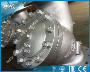 Casted Y Strainer