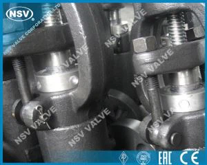 Pressure Seal Bonnet Forged Gate Valve