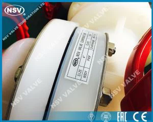 Katup Diafragma PVDF