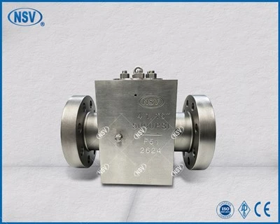 F51 – Katup Periksa 5000PSI